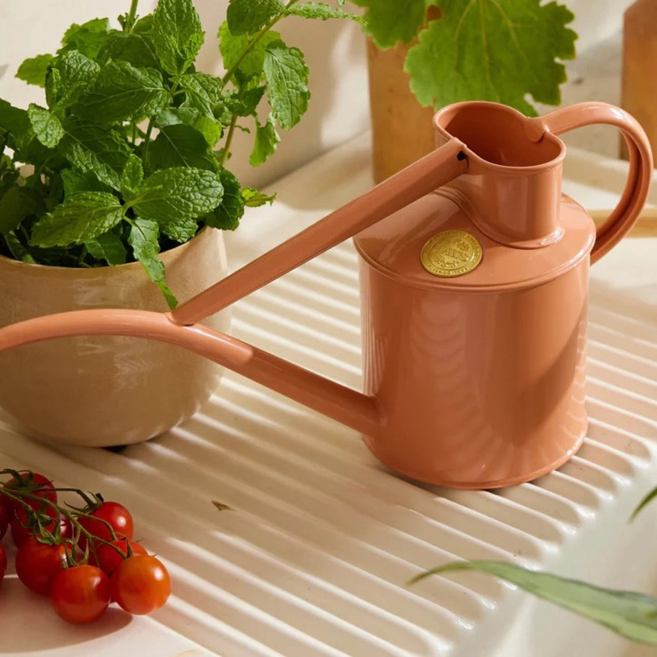 HAWS The Rowley Ripple Pink Clay konev - 1l