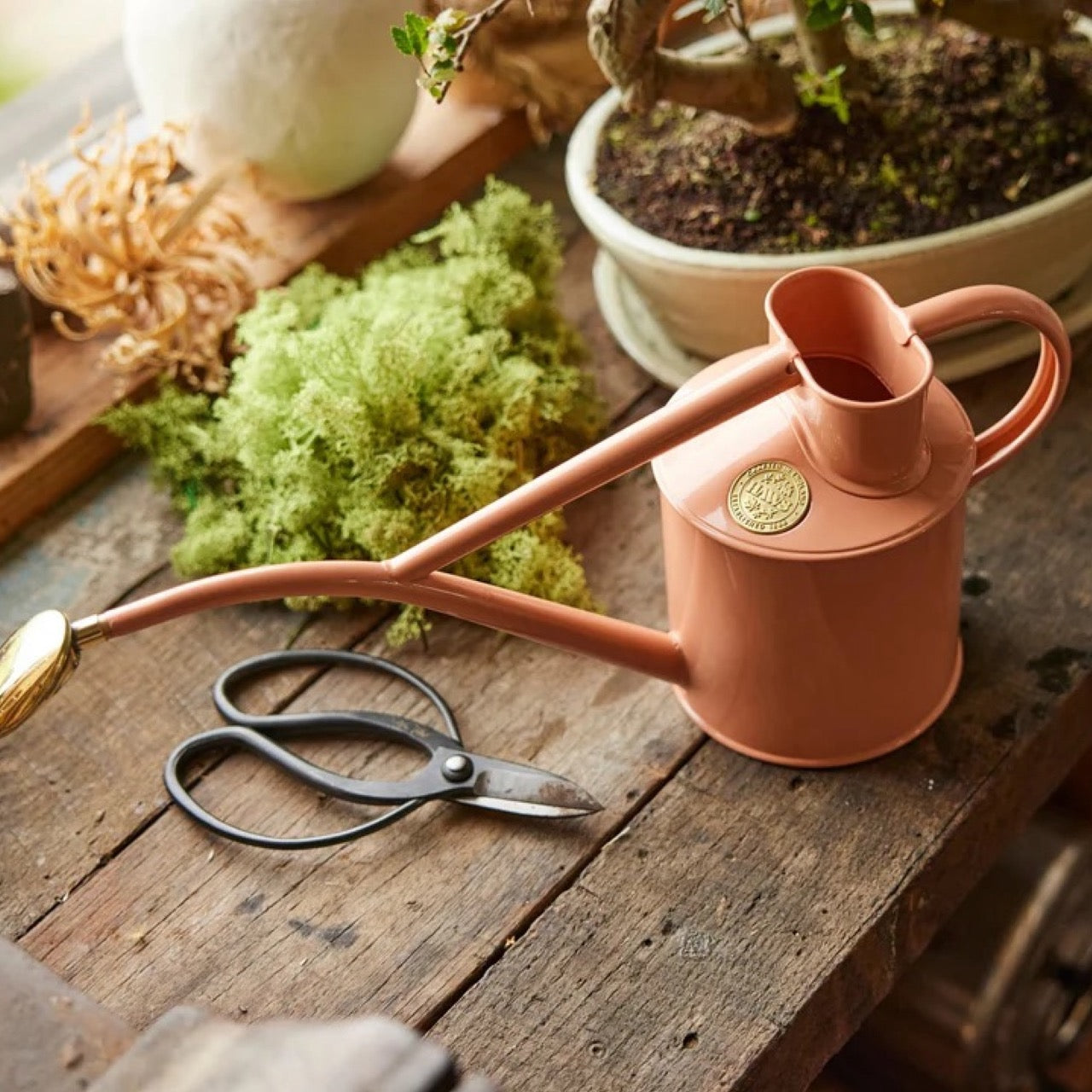 HAWS The Rowley Ripple Pink Clay konev - 1l