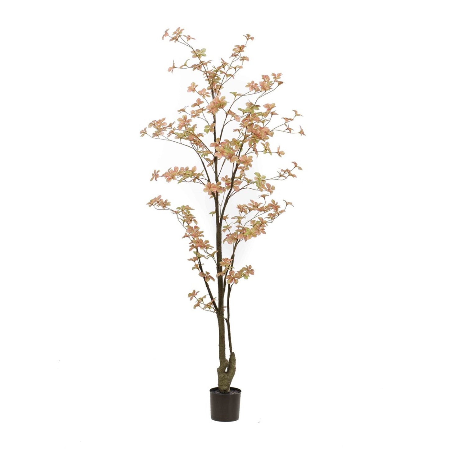Tropaeolum Peach umělá