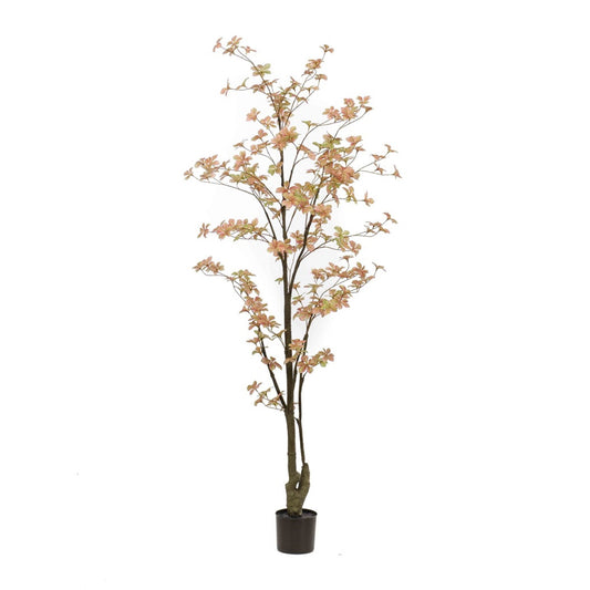 Tropaeolum Peach umělá
