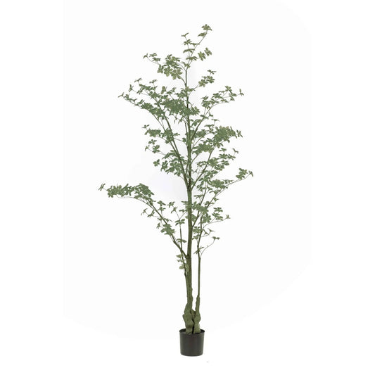 Tropaeolum umělá