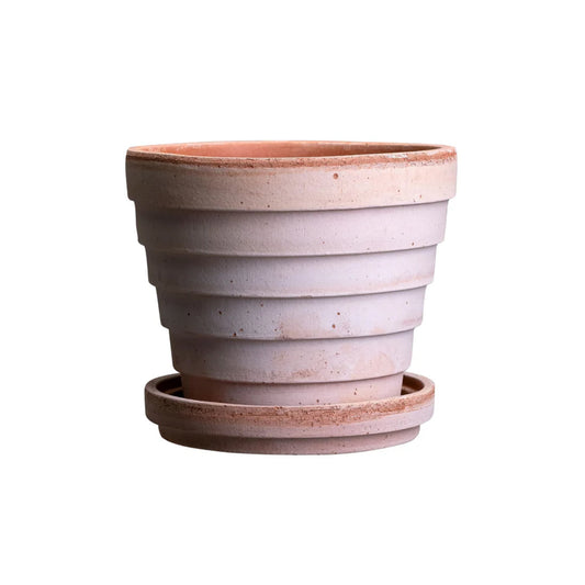 Venus RAW Rosa