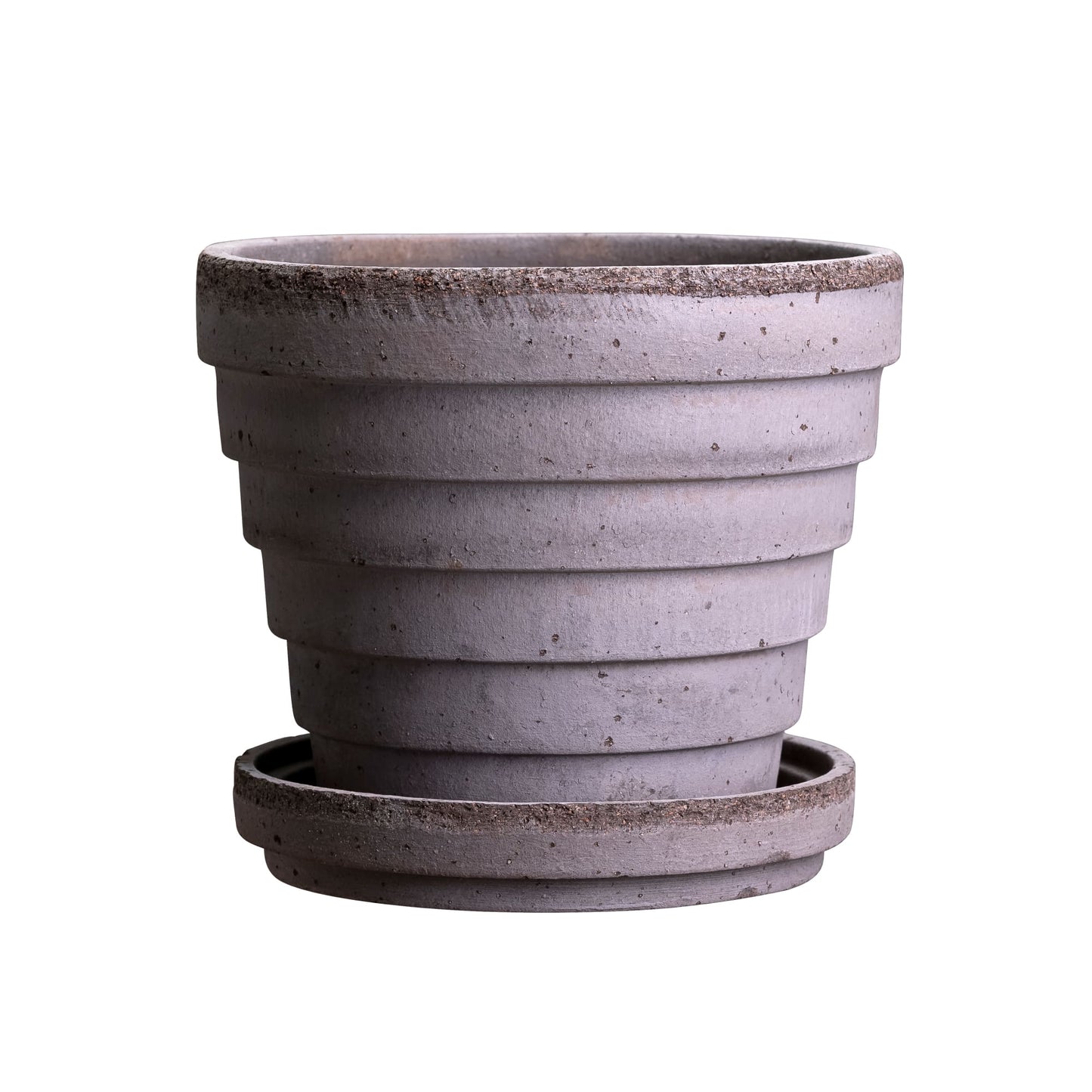 Venus RAW Grey
