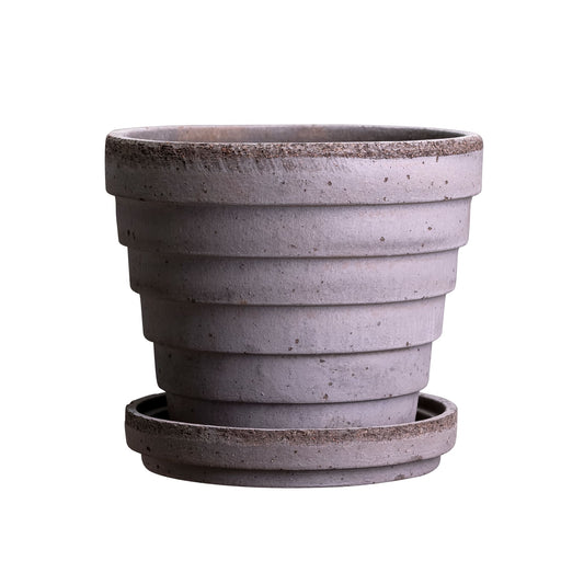 Venus RAW Grey