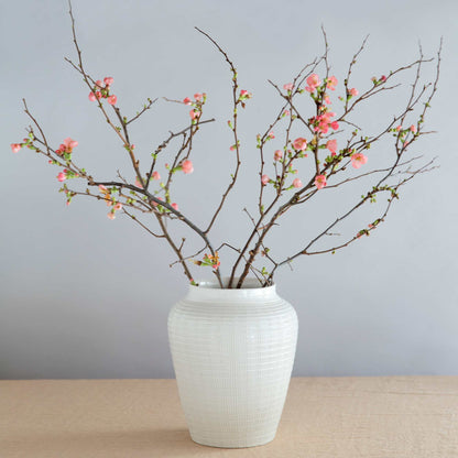 Willow GLAZED White Vase
