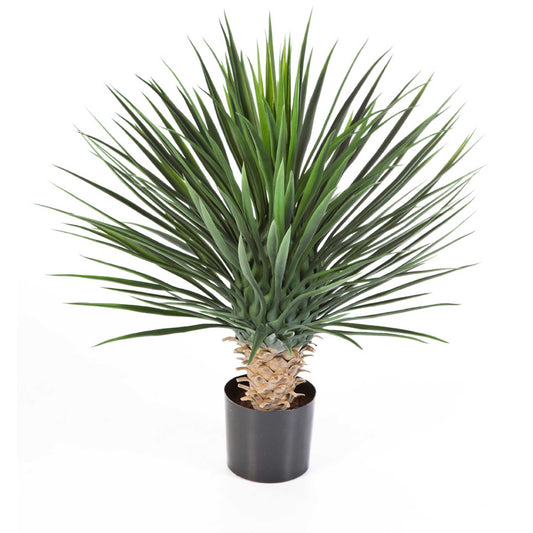 Yucca Rostrata umělá