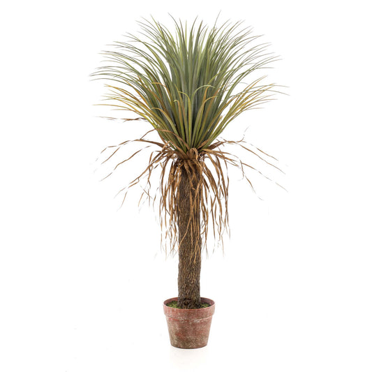 Yucca umělá