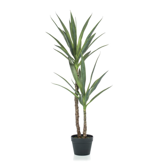 Yucca umělá