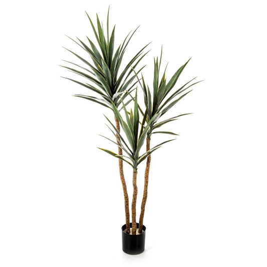 Yucca umělá