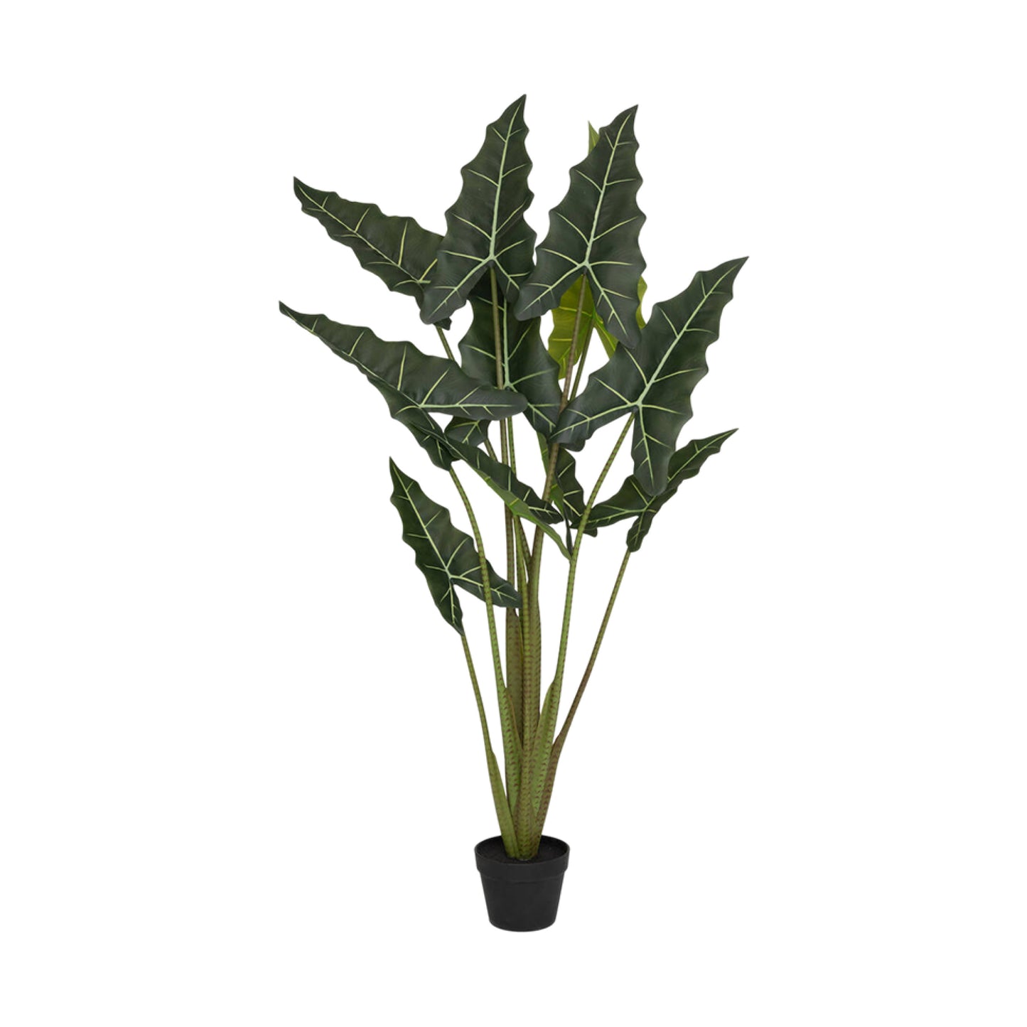 Alocasia Taro umělá