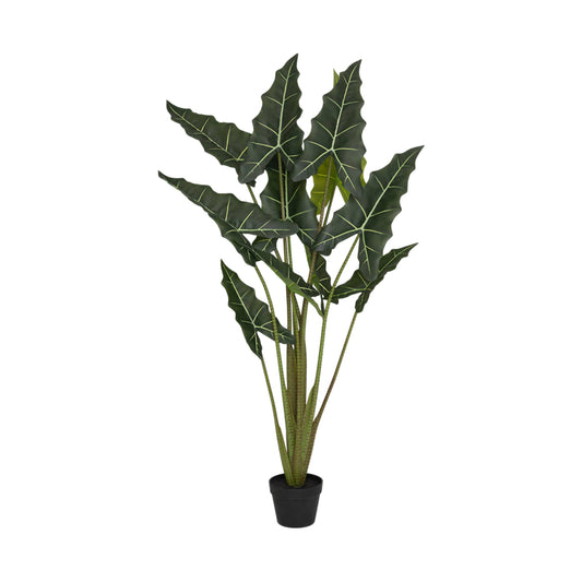 Alocasia Taro umělá