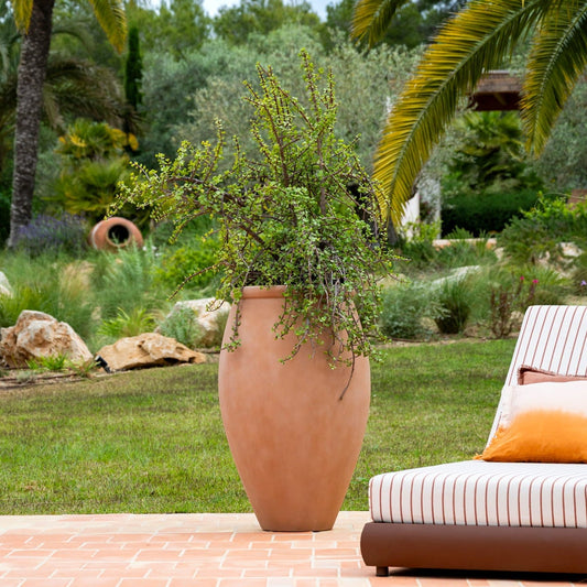 Amphora Soft Clay
