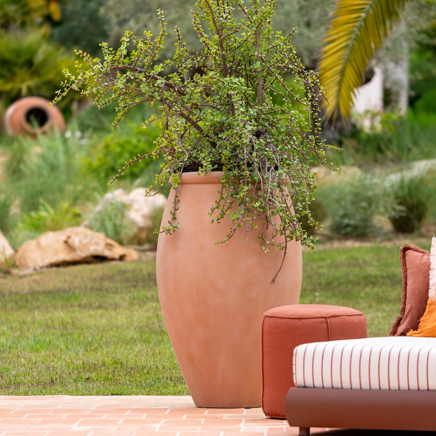 Amphora Soft Clay