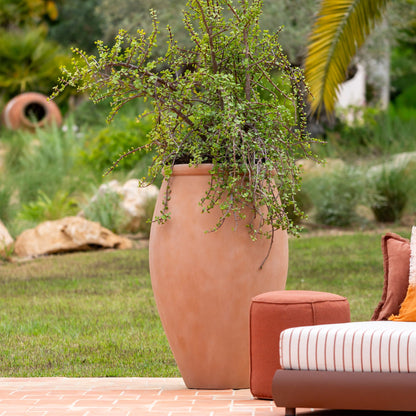 Amphora Soft Clay