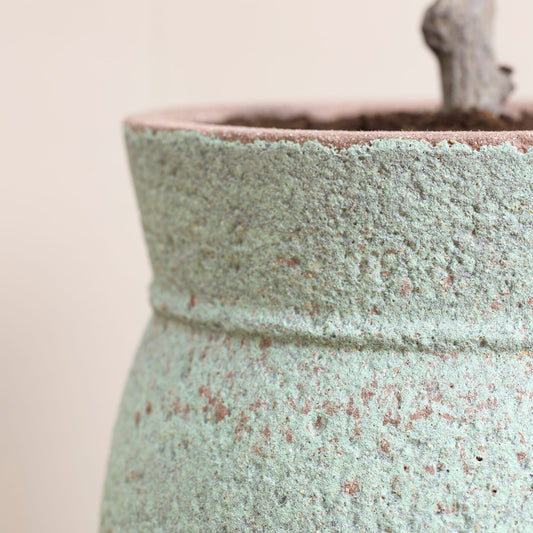 Apollo Rustic Green