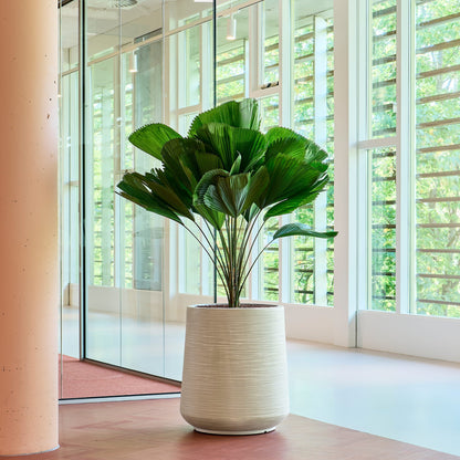 Baq Dune Darcy Pot Beige