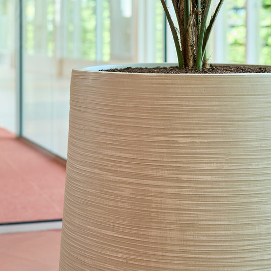 Baq Dune Darcy Beige
