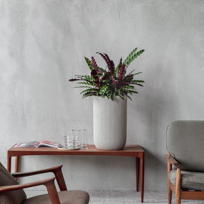 Baq Vertical Rib Cylinder Beige