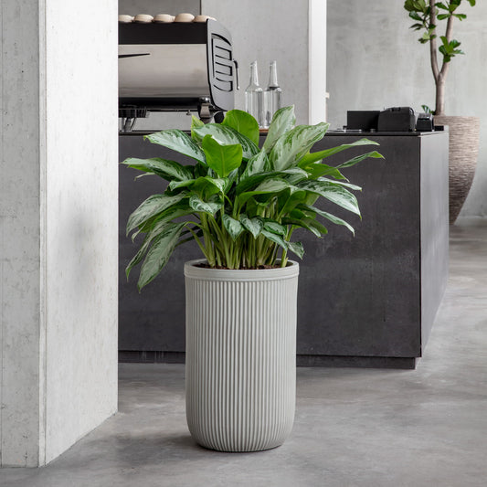 Baq Vertical Rib Cylinder Beige