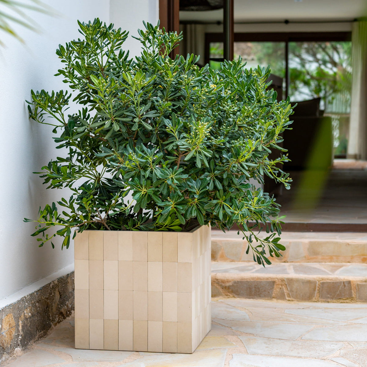 Block Verona Cream