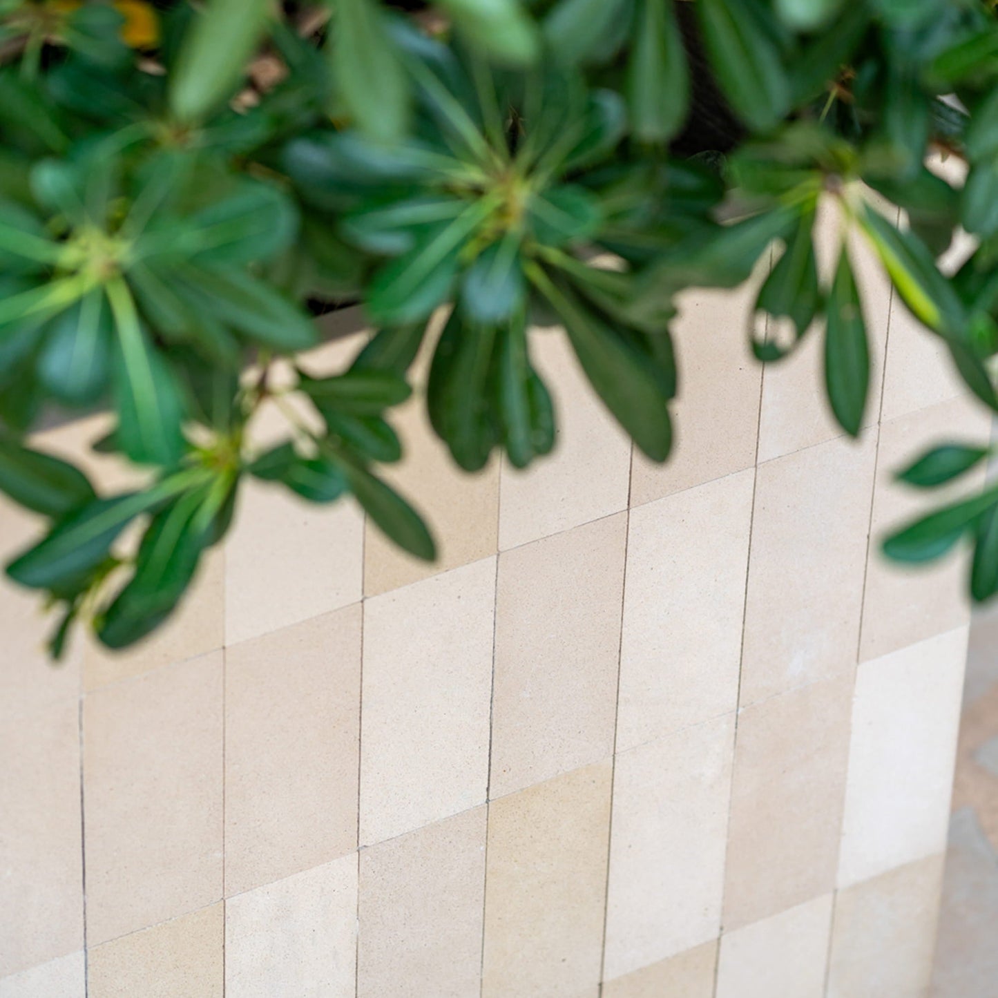 Block Verona Cream
