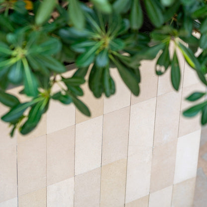 Block Verona Cream