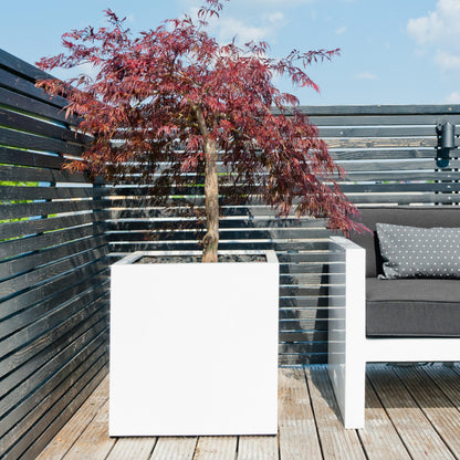 Block Glossy White