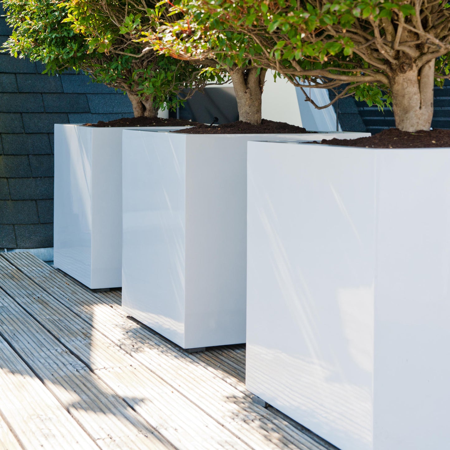 Block Glossy White