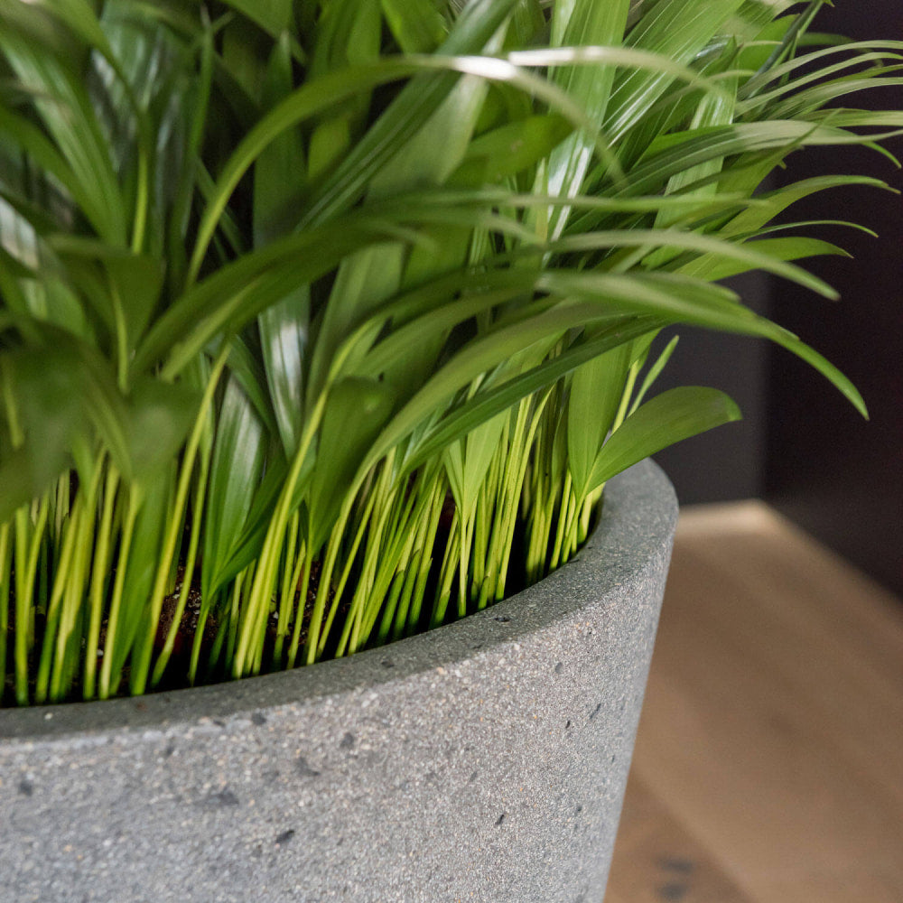 Bucket Laterite Grey Potzillas bucket-laterite-grey-potzillas