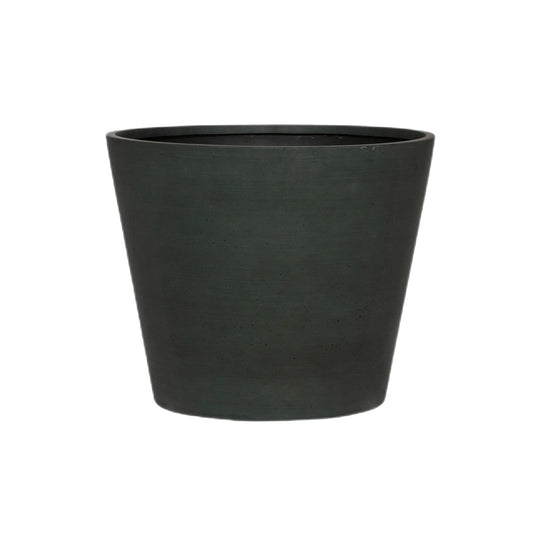 Bucket Pine Green