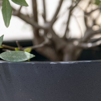 Bucket Black