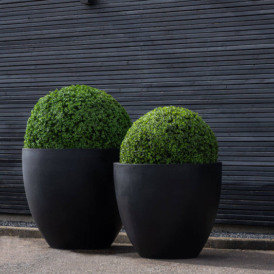 Buxus koule umělý