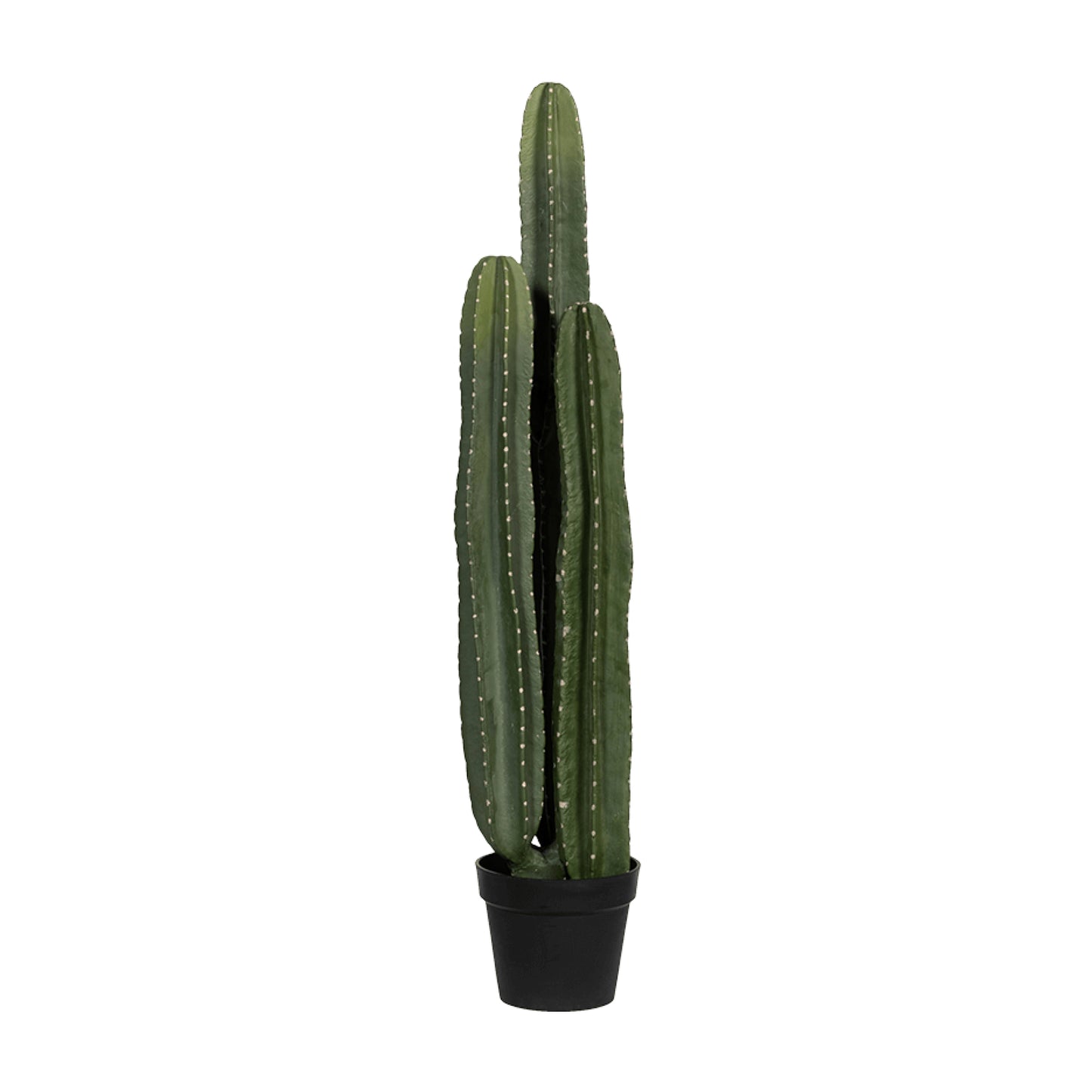 Kaktus San Pedro umělý