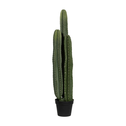 Kaktus San Pedro umělý