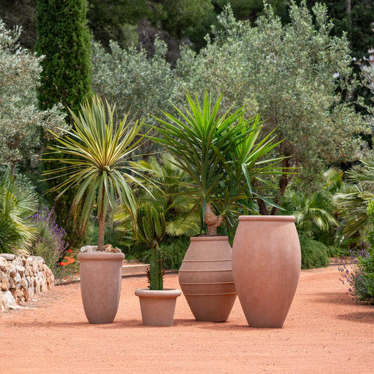 Omar Soft Clay