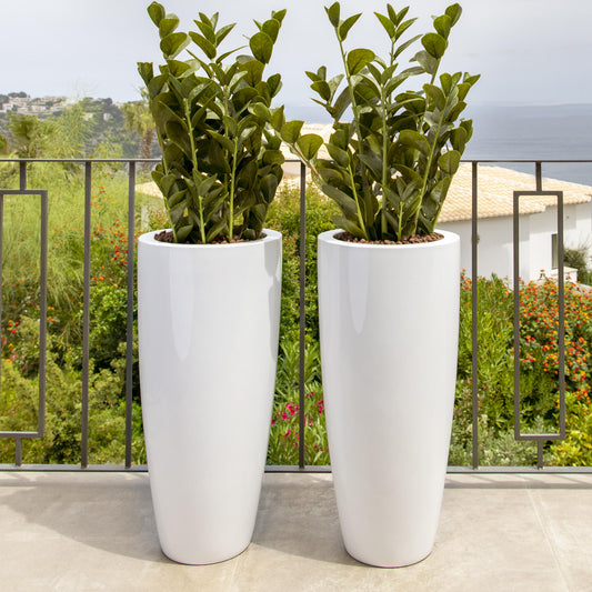 Dax Glossy White