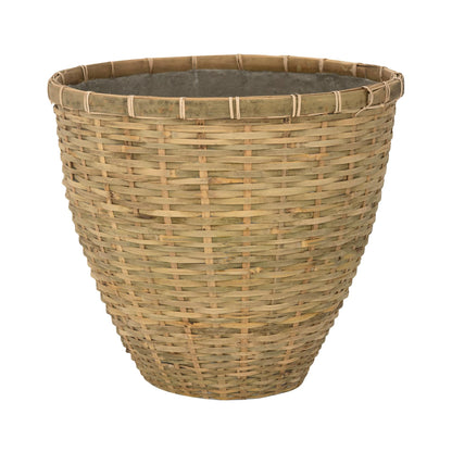 Diego Bamboo