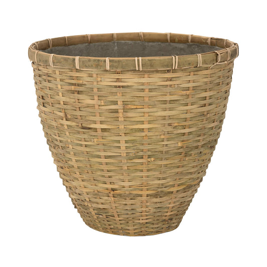 Diego Bamboo