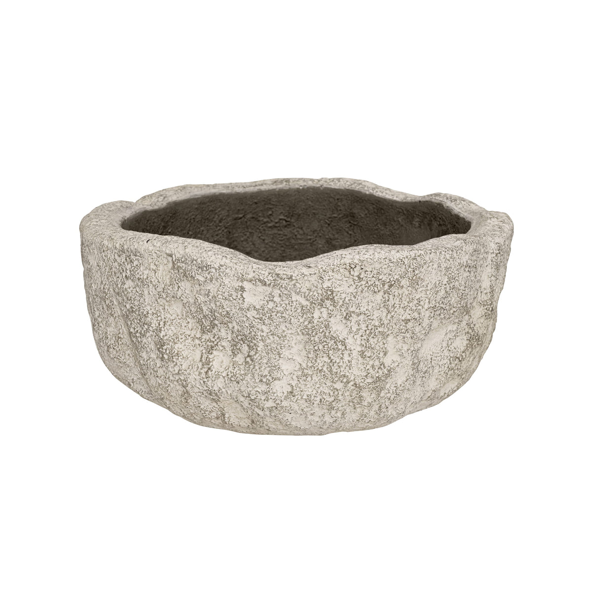 Dune Fossil Sand