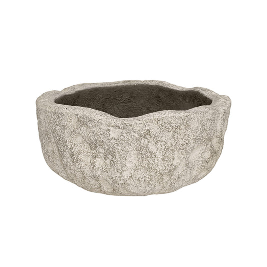 Dune Fossil Sand