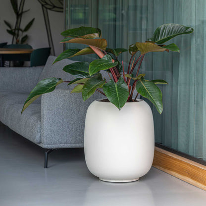 Sphere Silk White