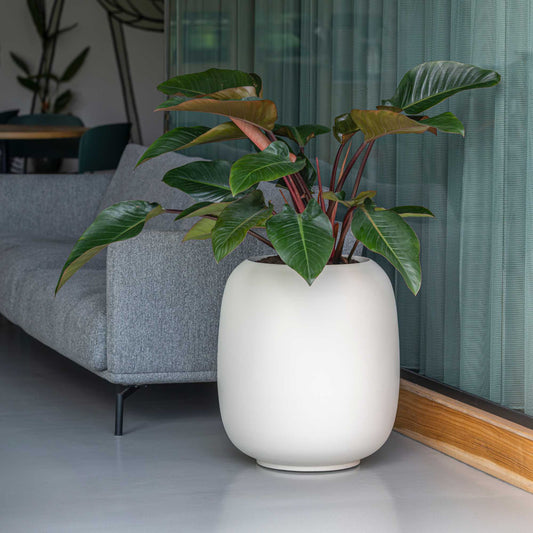 Sphere Silk White