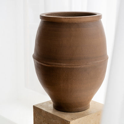 Elia Root Brown