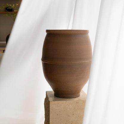 Elia Root Brown