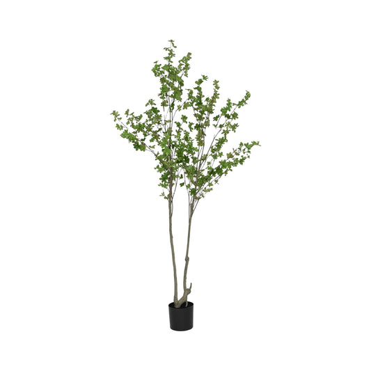 Enkianthus Perulatus umělý