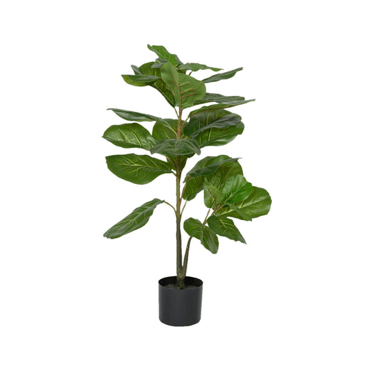 Ficus lyrata umělý