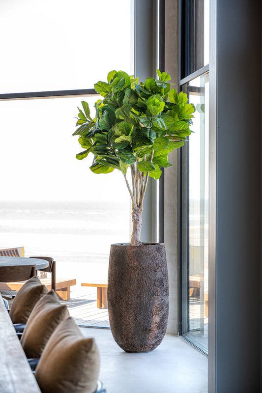 Ficus lyrata na stonku umělý