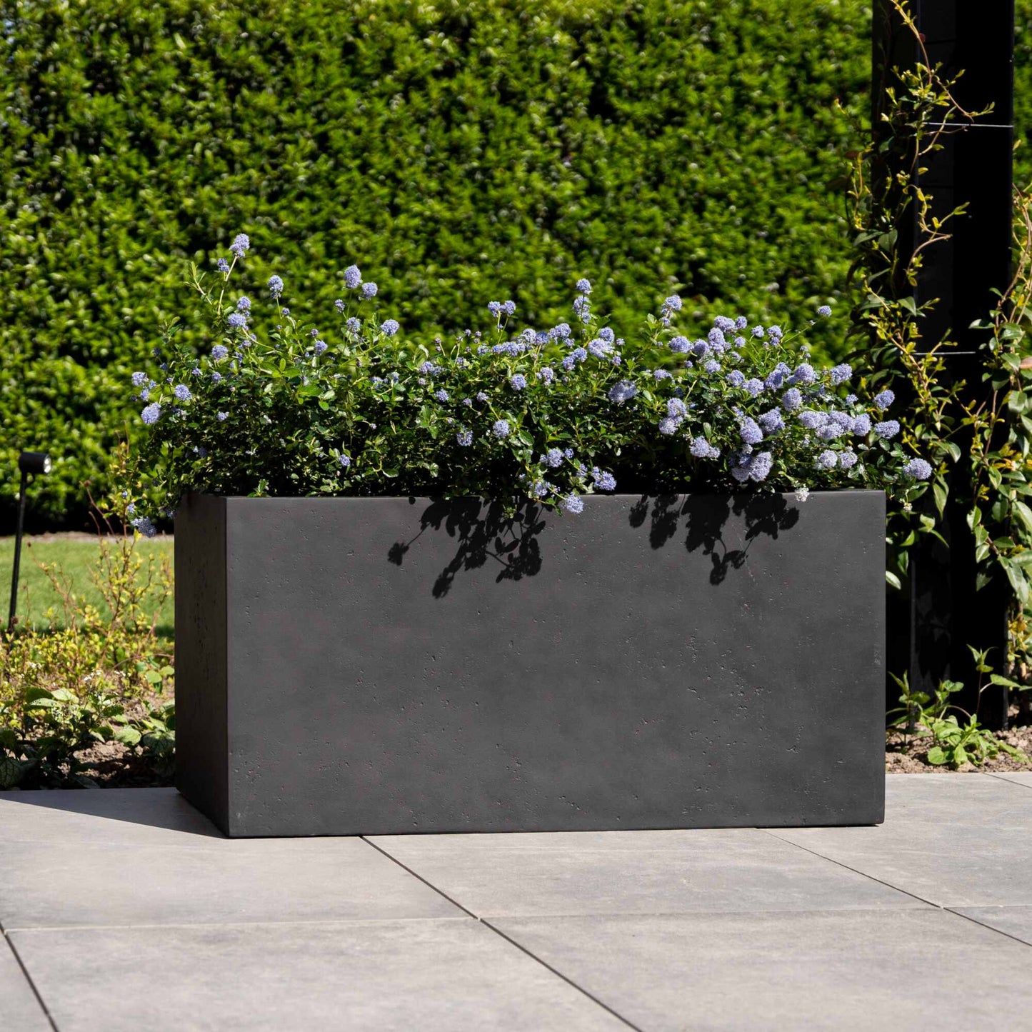 Grigio Box Anthracite