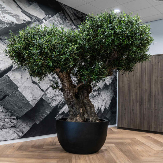 Grigio New Egg Pot Low Anthracite