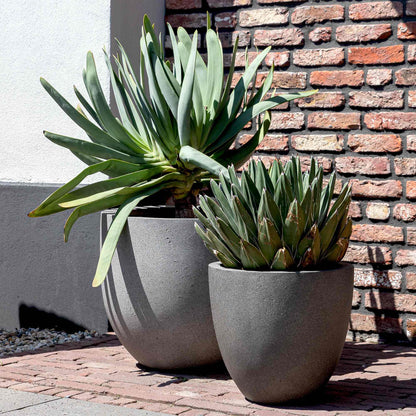 Grigio New Egg Pot Natural Concrete